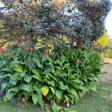 La Barberie A * Saint-Marcouf