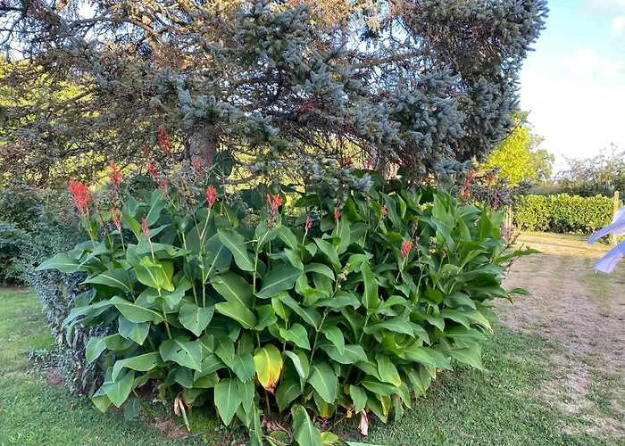 La Barberie A * Saint-Marcouf