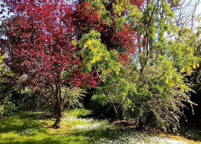 La Barberie A 別荘